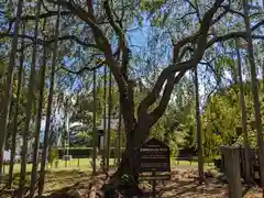 足羽神社(福井県)