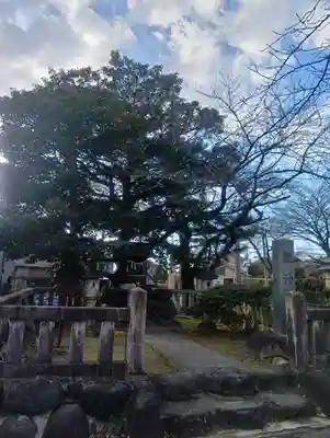 龍神社(愛知県)