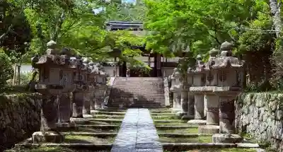 園城寺（三井寺）の{uncategorized: "未分類", other: "その他", undefined: "問題あり", building: "その他建物", grave: "お墓", sacred_gate: "鳥居", guardian: "狛犬", statue: "像", buddha: "仏像", history: "歴史", nature: "自然", garden: "庭園", animal: "動物", pagoda: "塔", temizu: "手水舎", mountain_gate: "山門・神門", sanctuary: "本殿・本堂", subordinate: "末社・摂社", art: "芸術", scenery: "景色", jizo: "地蔵", ema: "絵馬", goshuin: "御朱印", omikuji: "おみくじ", items: "授与品その他", amulet: "お守り", goshuincho: "御朱印帳", eats: "食事", festival: "お祭り", votive_dance: "神楽", shichigosan: "七五三参", wedding: "結婚式", experience: "体験その他", initially: "初詣", around: "周辺", anti_infection: "感染症対策"}