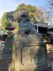 中野氷川神社の狛犬