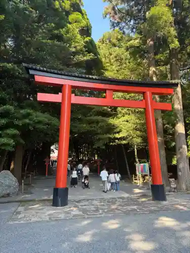 霧島神宮の{uncategorized: "未分類", other: "その他", undefined: "問題あり", building: "その他建物", grave: "お墓", sacred_gate: "鳥居", guardian: "狛犬", statue: "像", buddha: "仏像", history: "歴史", nature: "自然", garden: "庭園", animal: "動物", pagoda: "塔", temizu: "手水舎", mountain_gate: "山門・神門", sanctuary: "本殿・本堂", subordinate: "末社・摂社", art: "芸術", scenery: "景色", jizo: "地蔵", ema: "絵馬", goshuin: "御朱印", omikuji: "おみくじ", items: "授与品その他", amulet: "お守り", goshuincho: "御朱印帳", eats: "食事", festival: "お祭り", votive_dance: "神楽", shichigosan: "七五三参", wedding: "結婚式", experience: "体験その他", initially: "初詣", around: "周辺", anti_infection: "感染症対策"}
