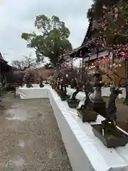 菅原天満宮（菅原神社）(奈良県)