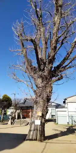 大神社(大阪府)