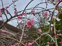 常清寺(兵庫県)