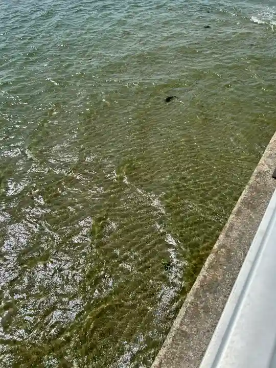 八百富神社(愛知県)