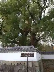 深江神社(福岡県)