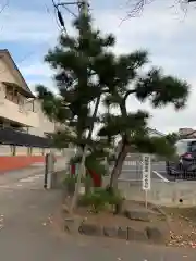 相模国総社六所神社の自然