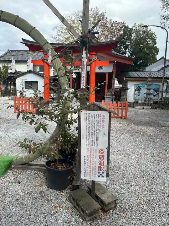 秩父今宮神社(埼玉県)