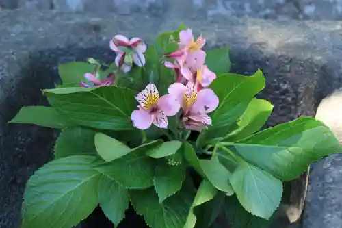 熊野福藏神社の手水舎