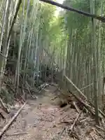 大日天子(千葉県)