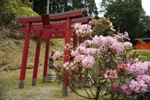 金刀比羅神社(奈良県)