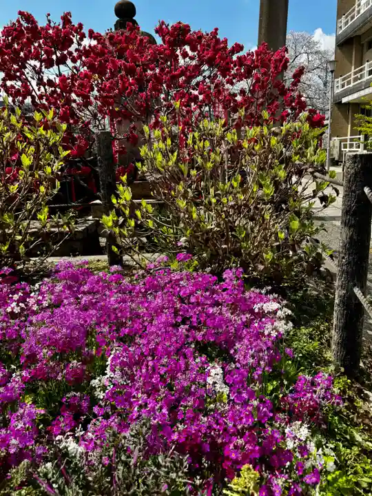 六孫王神社(京都府)