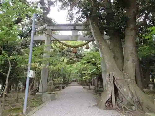 気多御子神社の鳥居