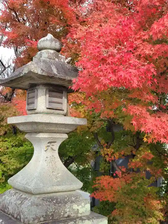 長岡天満宮(京都府)