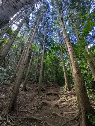 筑波山神社 女体山御本殿(茨城県)