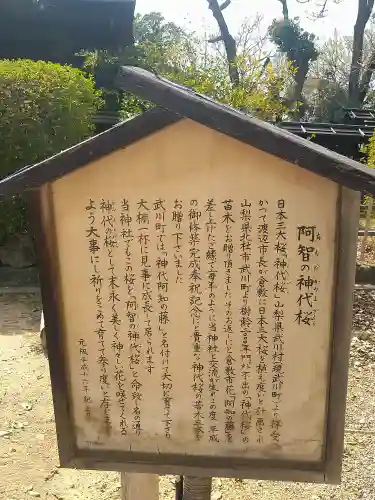 阿智神社の歴史