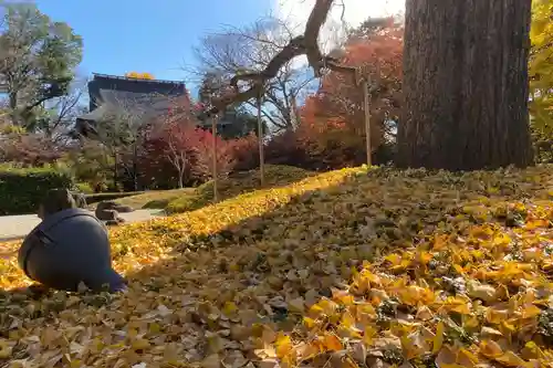 淨眞寺の自然