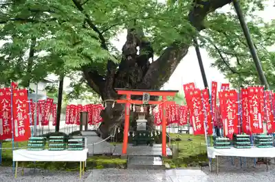 秩父今宮神社(埼玉県)