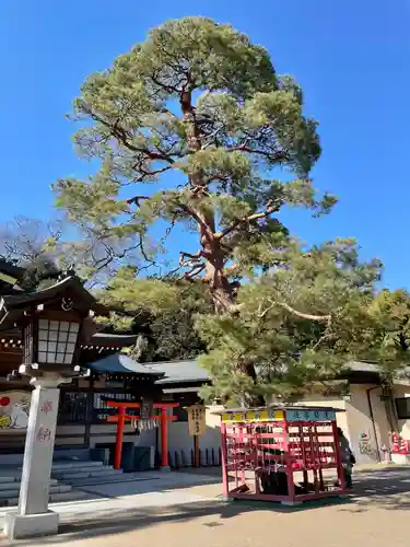 竹駒神社の庭園