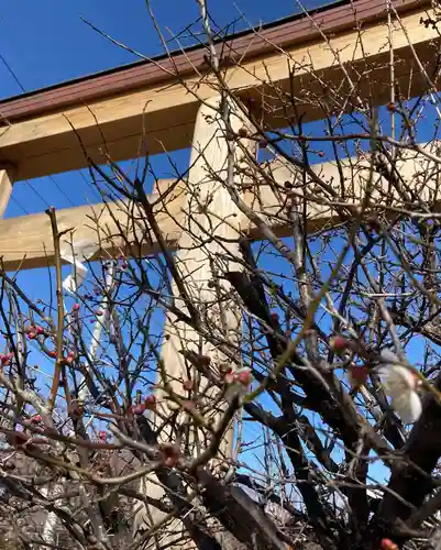 朝日森天満宮のその他建物