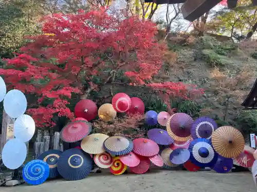 岡寺（龍蓋寺）(奈良県)
