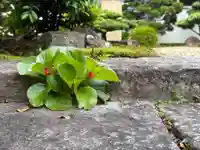 西方山極楽寺(岐阜県)