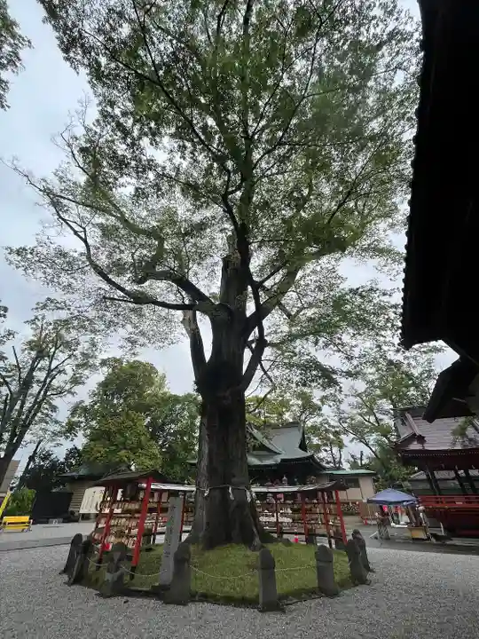 上野総社神社(群馬県)