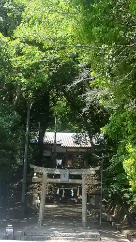 柳田八幡宮の鳥居