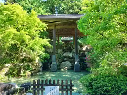 白山比咩神社の{uncategorized: "未分類", other: "その他", undefined: "問題あり", building: "その他建物", grave: "お墓", sacred_gate: "鳥居", guardian: "狛犬", statue: "像", buddha: "仏像", history: "歴史", nature: "自然", garden: "庭園", animal: "動物", pagoda: "塔", temizu: "手水舎", mountain_gate: "山門・神門", sanctuary: "本殿・本堂", subordinate: "末社・摂社", art: "芸術", scenery: "景色", jizo: "地蔵", ema: "絵馬", goshuin: "御朱印", omikuji: "おみくじ", items: "授与品その他", amulet: "お守り", goshuincho: "御朱印帳", eats: "食事", festival: "お祭り", votive_dance: "神楽", shichigosan: "七五三参", wedding: "結婚式", experience: "体験その他", initially: "初詣", around: "周辺", anti_infection: "感染症対策"}
