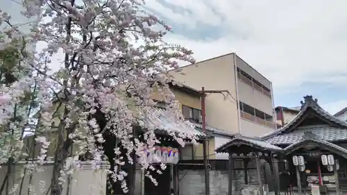 石像寺（釘抜地蔵）の自然