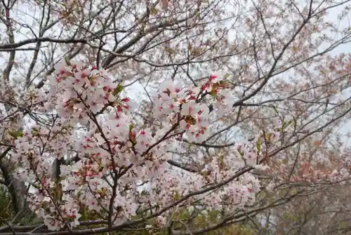 水分神社(山口県)