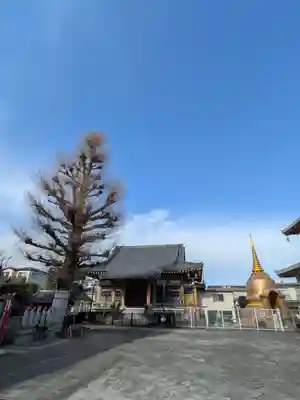 福王山  慈眼寺(東京都)
