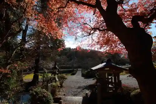 鹿島大神宮の景色