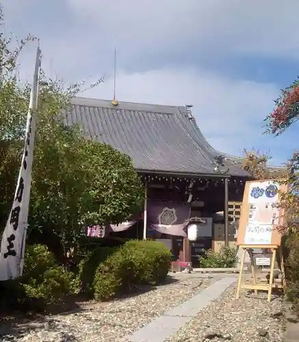 和泉寺(京都府)