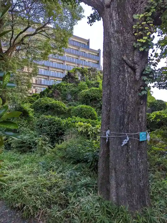 成子天神社(東京都)