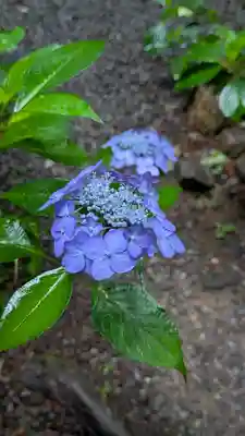 真正極楽寺(真如堂)(京都府)