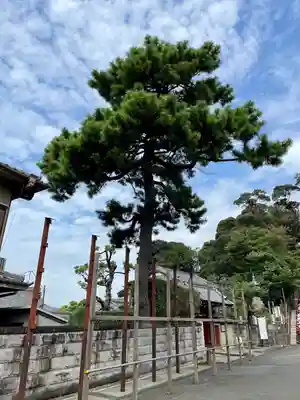理境院(東京都)