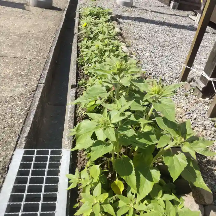 七重浜海津見神社(北海道)