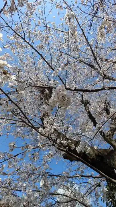 柊社(比良木社)(京都府)