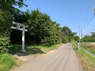 大杉神社(千葉県)