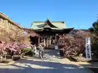 桜神宮(東京都)