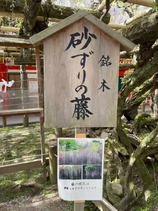 春日大社(奈良県)