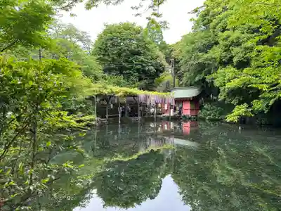 富士山本宮浅間大社(静岡県)