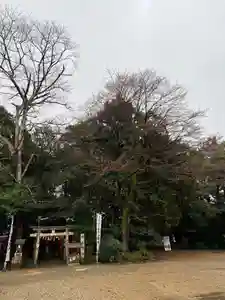 手力雄神社(岐阜県)(2023年03月13日(月) 17時17分30秒投稿)