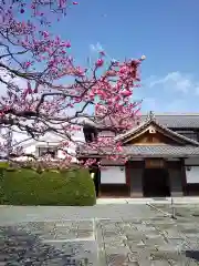 三宝院（三宝院門跡）の自然