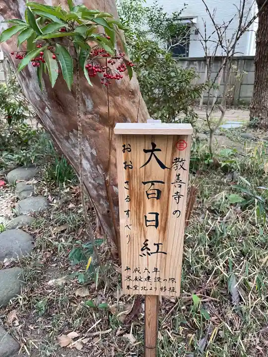 教善寺(神奈川県)