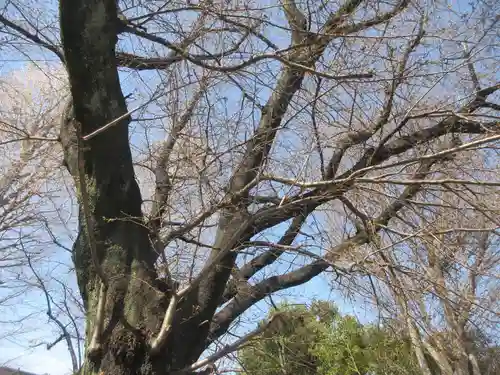 嶺御嶽神社(東京都)