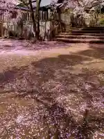 土津神社|こどもと出世の神さま(福島県)