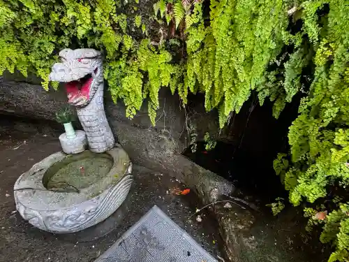 銭洗弁財天宇賀福神社の{uncategorized: "未分類", other: "その他", undefined: "問題あり", building: "その他建物", grave: "お墓", sacred_gate: "鳥居", guardian: "狛犬", statue: "像", buddha: "仏像", history: "歴史", nature: "自然", garden: "庭園", animal: "動物", pagoda: "塔", temizu: "手水舎", mountain_gate: "山門・神門", sanctuary: "本殿・本堂", subordinate: "末社・摂社", art: "芸術", scenery: "景色", jizo: "地蔵", ema: "絵馬", goshuin: "御朱印", omikuji: "おみくじ", items: "授与品その他", amulet: "お守り", goshuincho: "御朱印帳", eats: "食事", festival: "お祭り", votive_dance: "神楽", shichigosan: "七五三参", wedding: "結婚式", experience: "体験その他", initially: "初詣", around: "周辺", anti_infection: "感染症対策"}