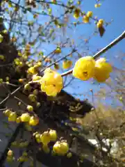 横浜　西方寺(神奈川県)